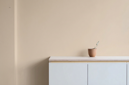 Väggfärg Nr 10. Sandrosé