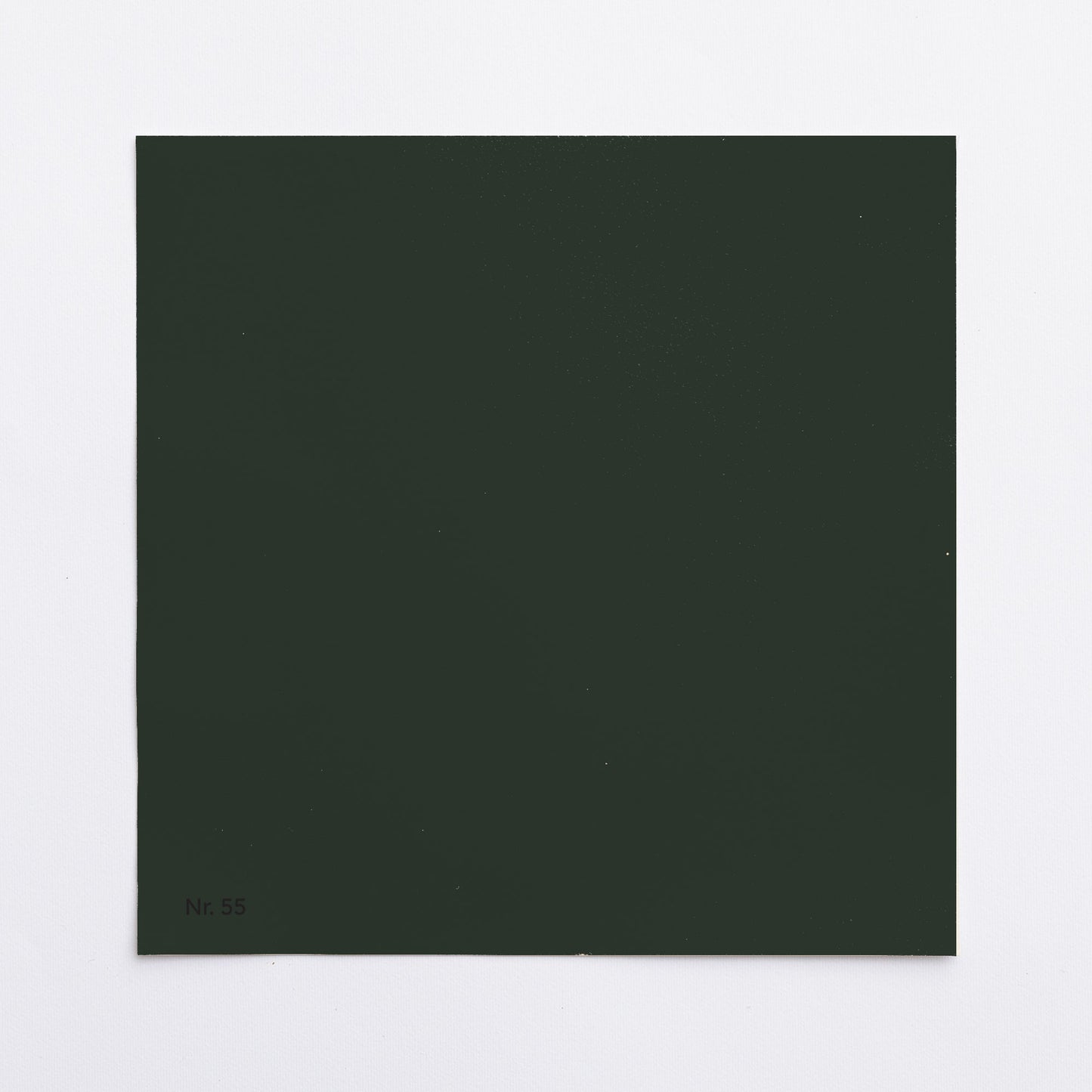 Väggfärg Nr 55. Skogsdjup