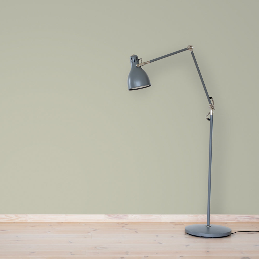 Väggfärg Nr 69. Frö