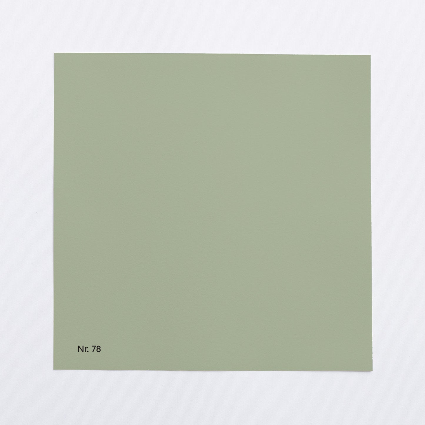 Väggfärg Nr 78. Skogsdis